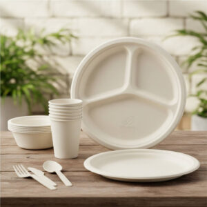 Bagasse Plates & Bowls
